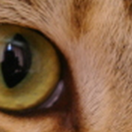 Original — zoomed crop