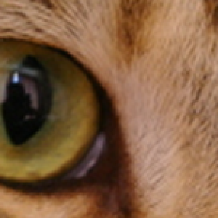 Variant B — zoomed crop